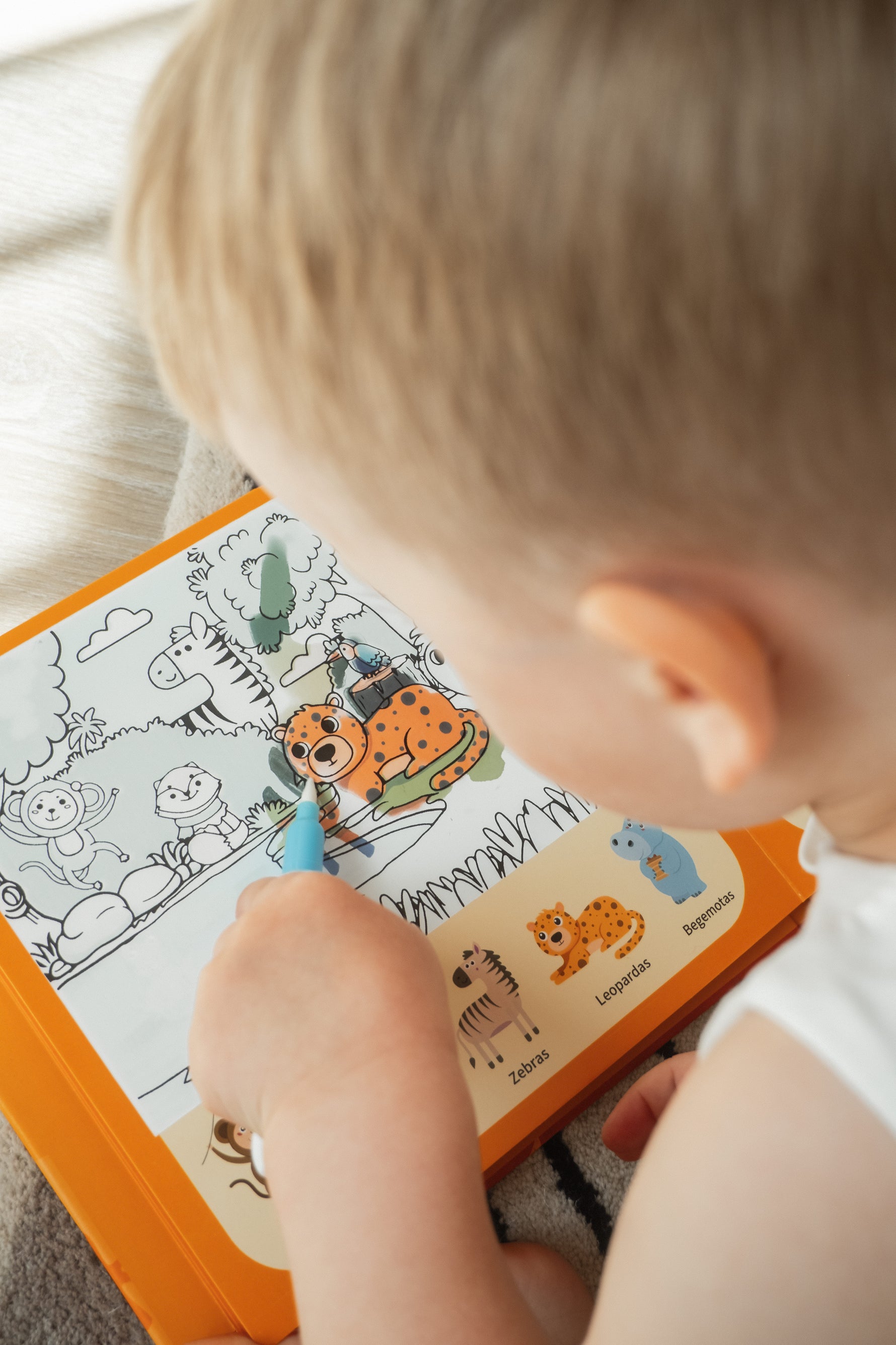 Kaip išnaudoti visas veiklos knygelės „Gyvūnai“ galimybes?